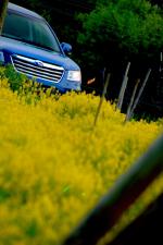 Subaru Tribeca 2008 года